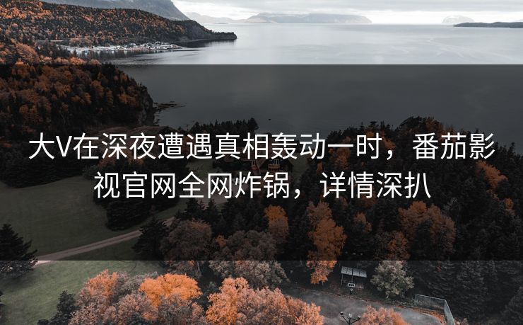 大V在深夜遭遇真相轰动一时，番茄影视官网全网炸锅，详情深扒