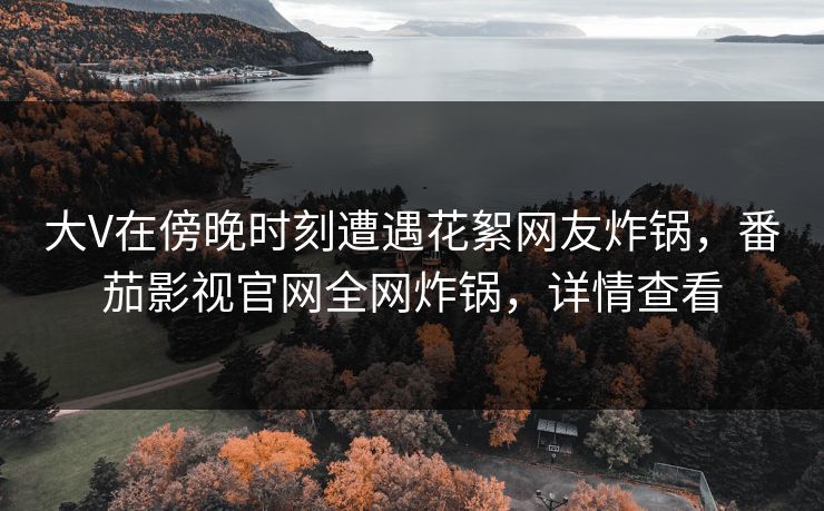 大V在傍晚时刻遭遇花絮网友炸锅，番茄影视官网全网炸锅，详情查看