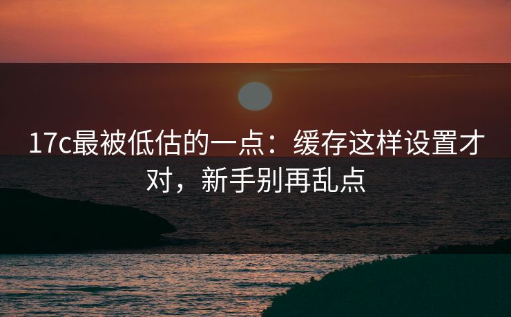 17c最被低估的一点：缓存这样设置才对，新手别再乱点