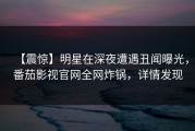 【震惊】明星在深夜遭遇丑闻曝光，番茄影视官网全网炸锅，详情发现